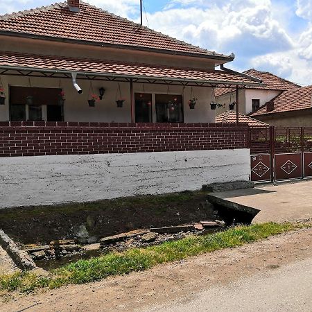 Kuca Mijalkovic Appartement Pirot Buitenkant foto