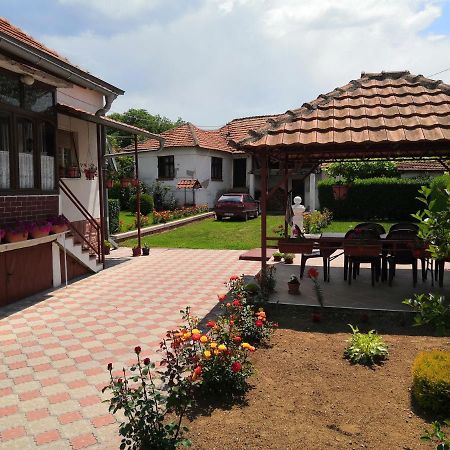 Kuca Mijalkovic Appartement Pirot Buitenkant foto
